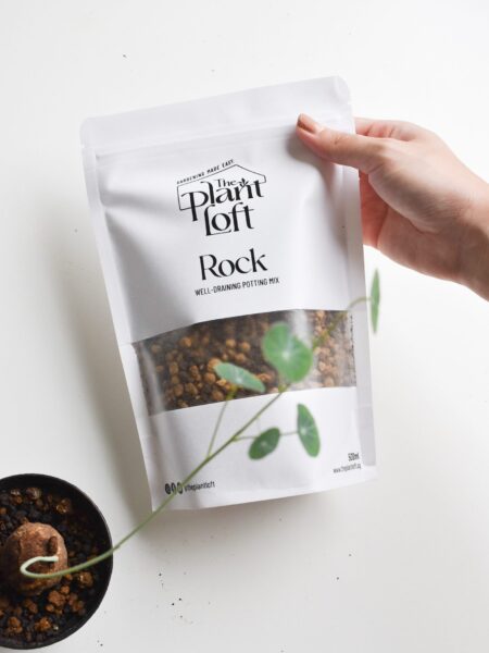 Rock - Well Draining Soil Mix - Image 3