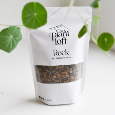 Rock - Well Draining Soil Mix