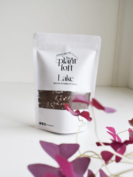 Lake - Moisture Retaining Soil Mix - Image 2