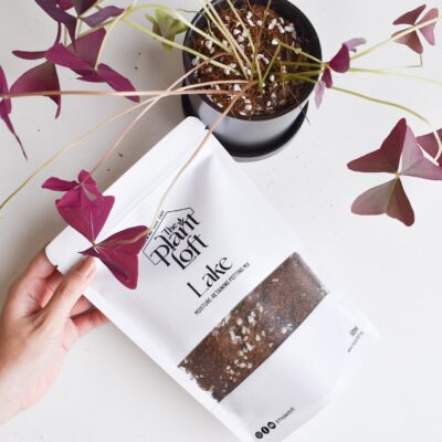 Lake - Moisture Retaining Soil Mix