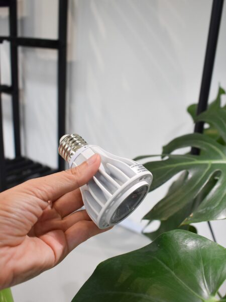Ecolight Grow Bulb - Image 2