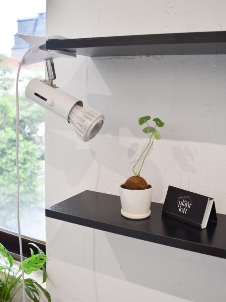 Ecolight Grow Bulb - Image 3
