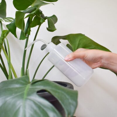 Squeeze Bottle