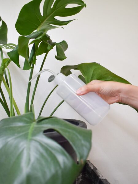 Squeeze Bottle