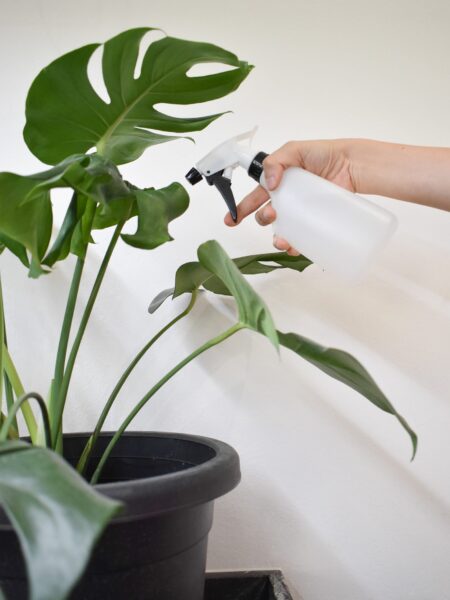 Spray Bottle - Image 2