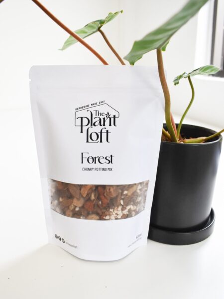 Forest - Chunky Soil Mix - Image 2