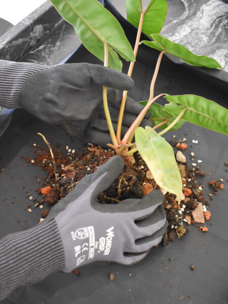 Gardening Mat - Image 2