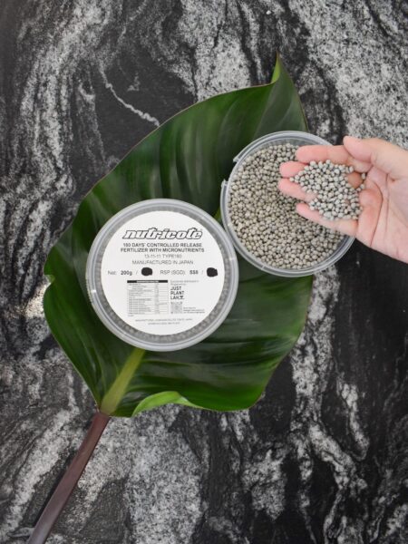 Nutricote Slow Release Fertiliser - Image 2