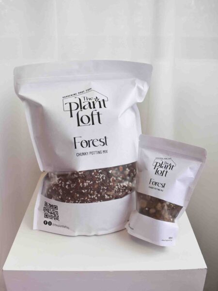 Forest - Chunky Soil Mix - Image 4
