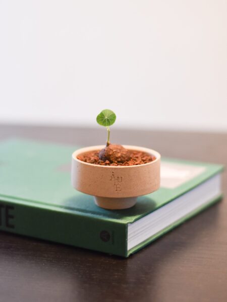 Aube Hat ceramic pots - Image 9