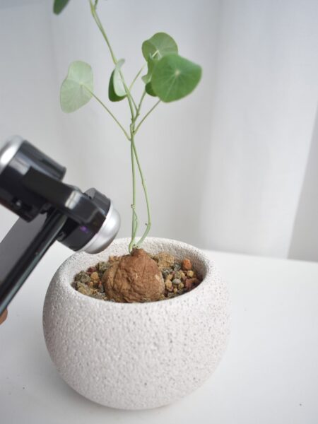 Phone camera magnifier - Image 3