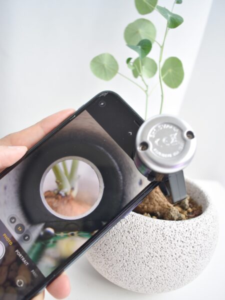 Phone camera magnifier