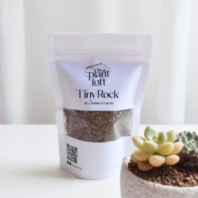 Tiny Rock - Well Draining Soil Mix