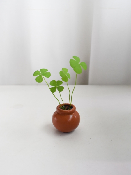 Water Clover