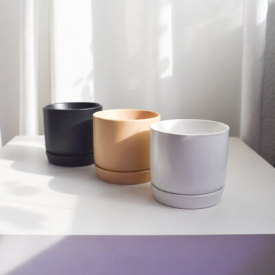 Ebony Pots with Saucers