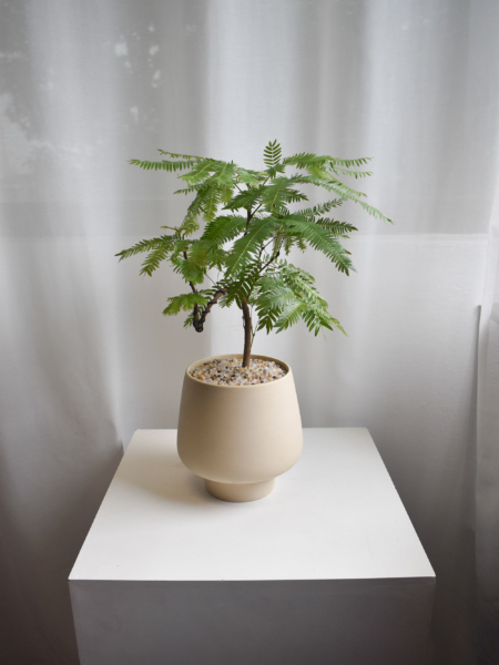 Everfresh trees in Chalk size 4/5 (Wired stem)