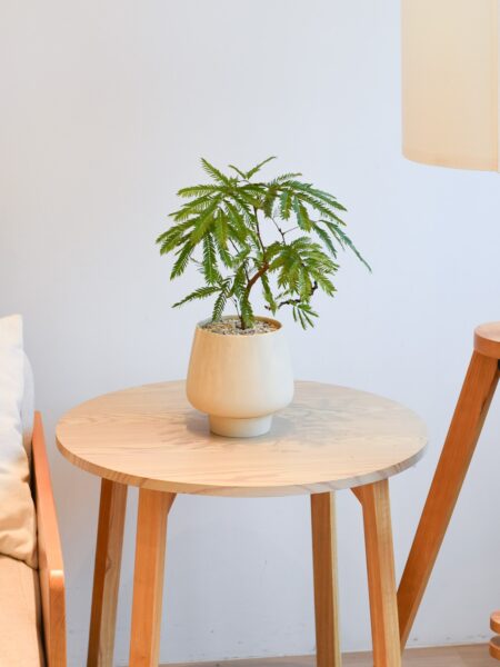 Everfresh trees in Chalk size 4/5 (Wired stem) - Image 5