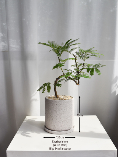 Everfresh trees in Mica size 4/5 (WIRED) - Image 2