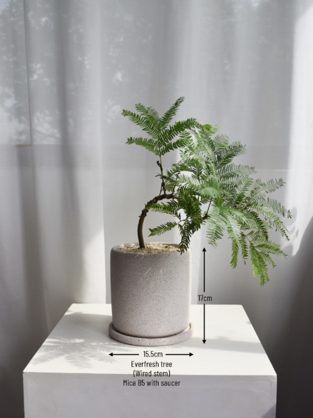 Everfresh trees in Mica size 4/5 (WIRED) - Image 3
