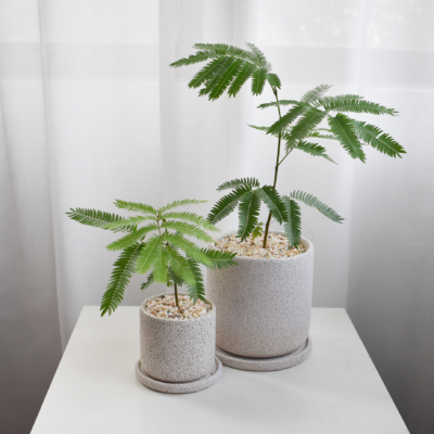 Everfresh trees size 2/3/4 in Mica (NON-WIRED STEM)