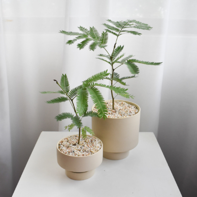 Everfresh trees size 3/4 in Chalk (Non-wired stem)