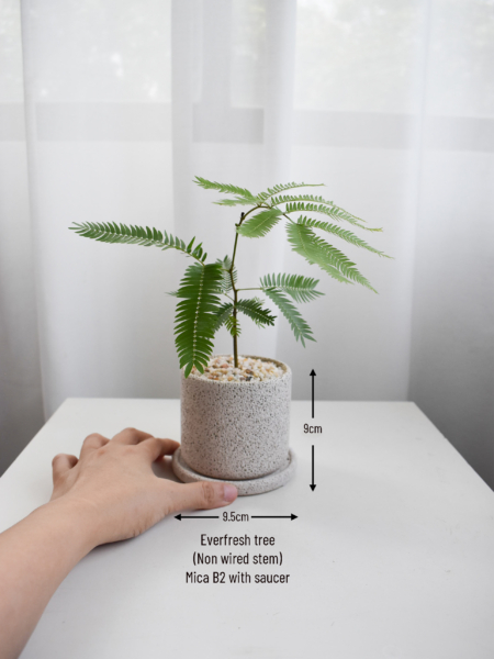 Everfresh trees size 2/3/4 in Mica (NON-WIRED STEM) - Image 2