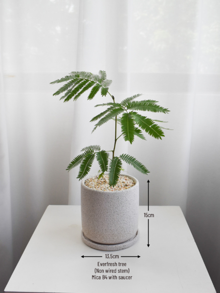 Everfresh trees size 2/3/4 in Mica (NON-WIRED STEM) - Image 4