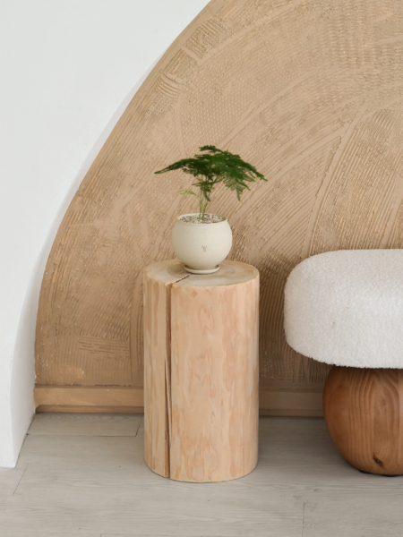 Asparagus Fern in Aube Moon - Image 3