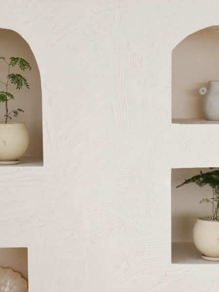 Asparagus Fern in Aube Moon - Image 4