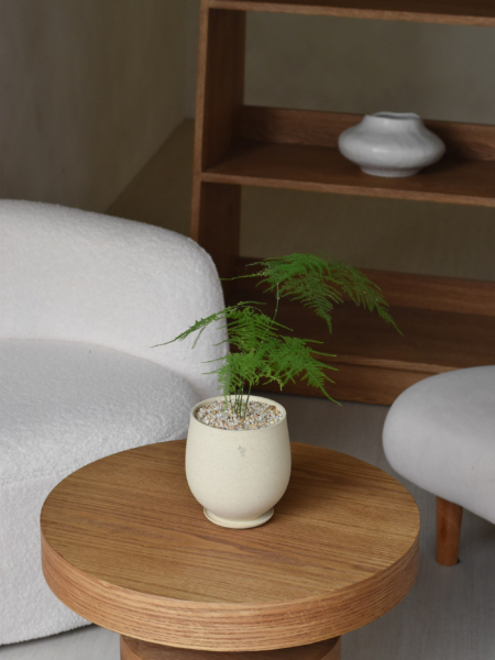 Asparagus Fern in Aube Jar - Image 5
