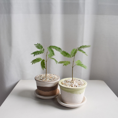 Everfresh trees in Barite (NON-WIRED STEM)